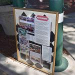 DSC_0113_00070 (October 07, 2023)